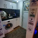 Elephant Suite